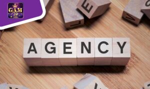 Giới thiệu chương trình đại lý Gamvip