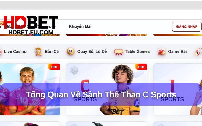 Giới thiệu tổng quan