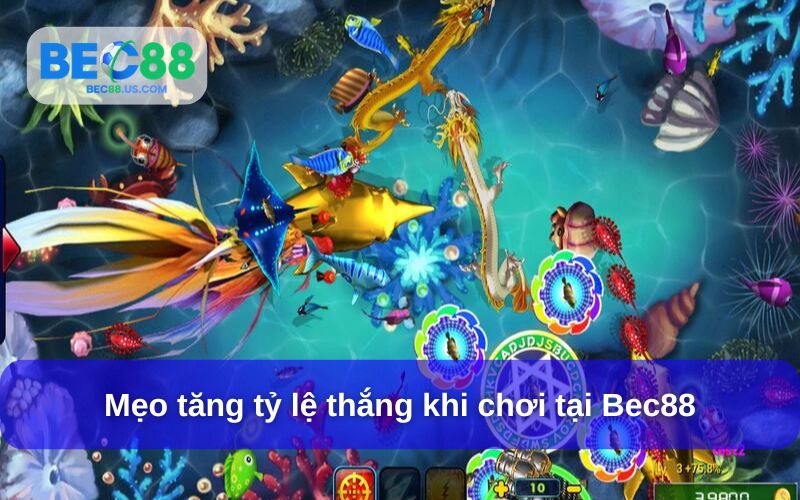 Chế độ săn thường